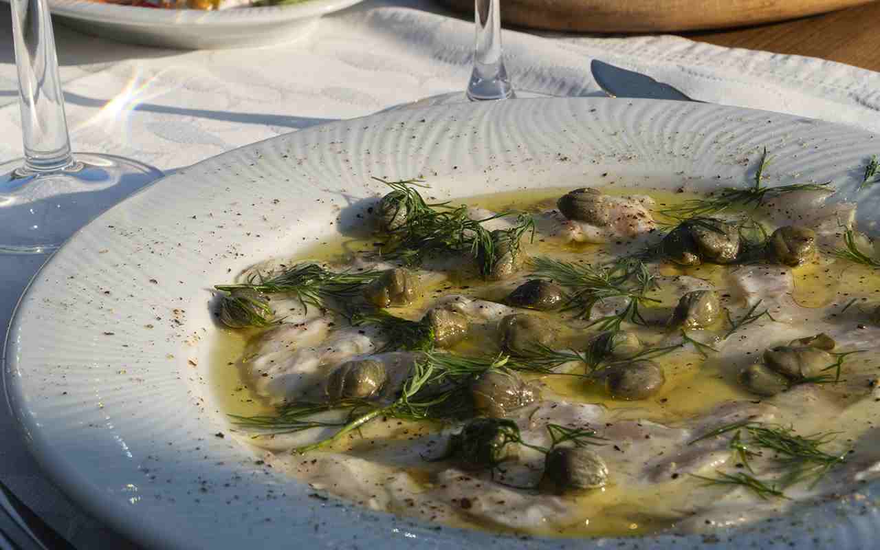 SEA BASS CARPACCIO